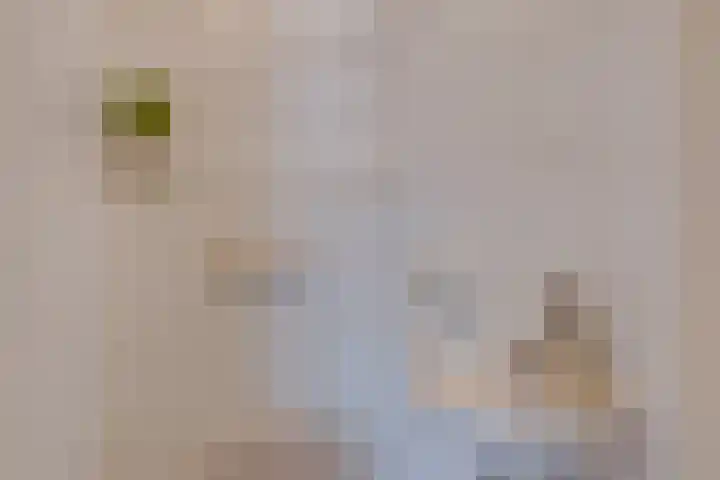 Oude Rijksweg Zuid 14 Susteren thumbnail 9