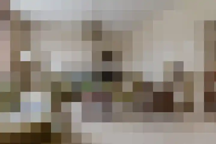 Oude Rijksweg Zuid 17 Susteren thumbnail 10