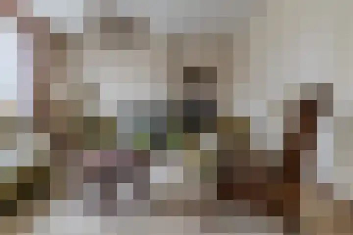 Oude Rijksweg Zuid 17 Susteren thumbnail 11