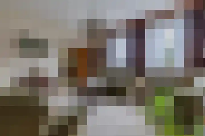 Oude Rijksweg Zuid 17 Susteren thumbnail 13