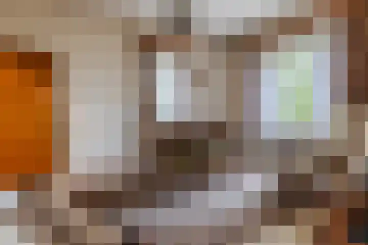 Oude Rijksweg Zuid 17 Susteren thumbnail 15