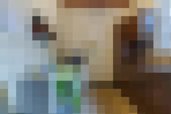 Oude Rijksweg Zuid 17 Susteren thumbnail 20
