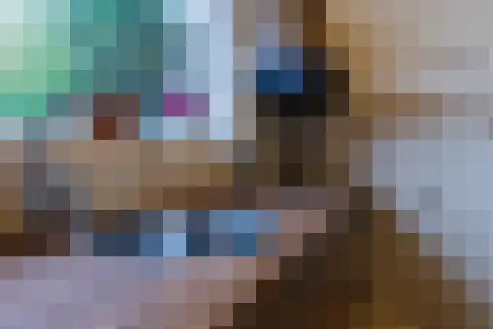 Oude Rijksweg Zuid 17 Susteren thumbnail 23