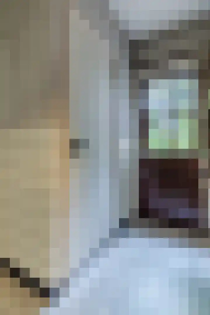 Oude Rijksweg Zuid 17 Susteren thumbnail 25