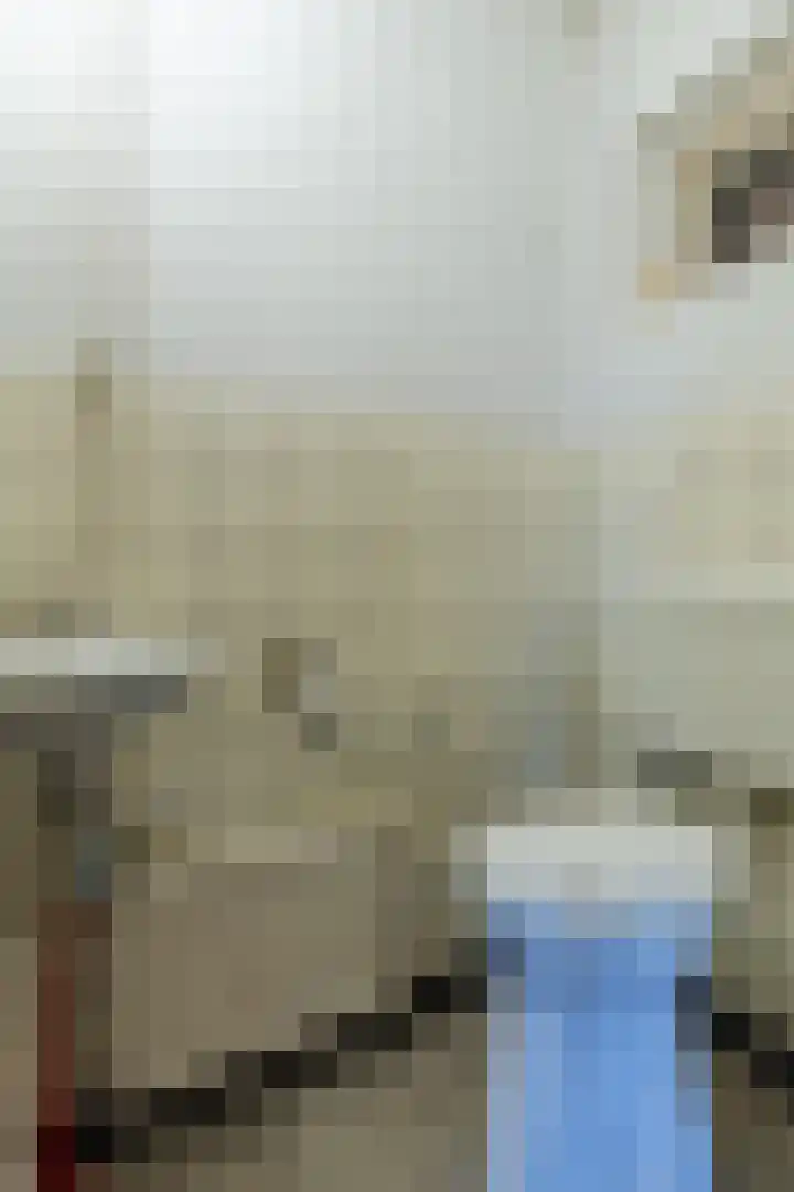 Oude Rijksweg Zuid 17 Susteren thumbnail 26