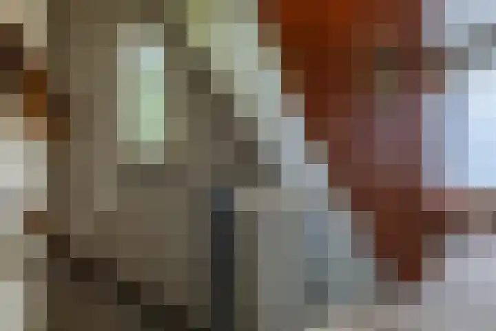 Oude Rijksweg Zuid 17 Susteren thumbnail 30