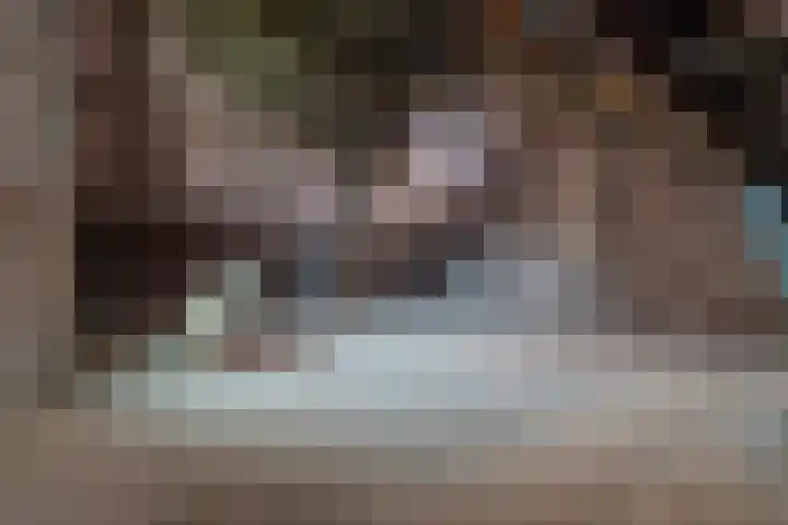 Oude Rijksweg Zuid 17 Susteren thumbnail 44