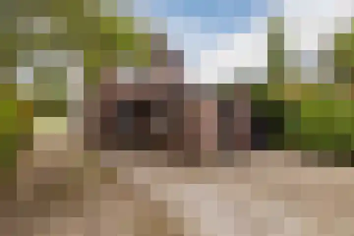Oude Rijksweg Zuid 17 Susteren thumbnail 46
