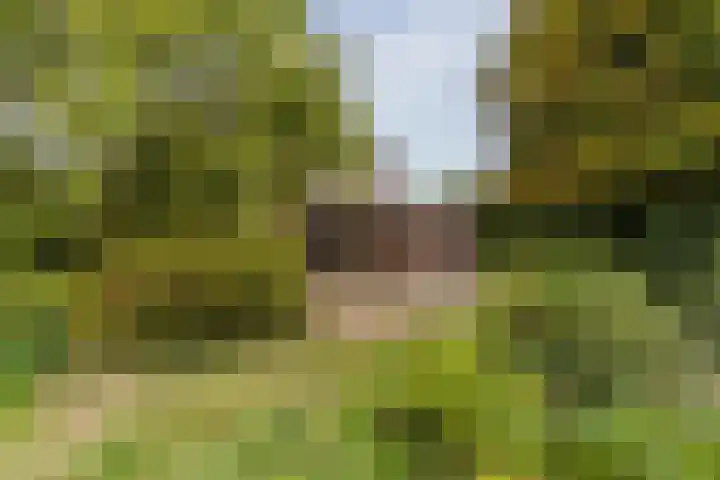 Oude Rijksweg Zuid 17 Susteren thumbnail 47
