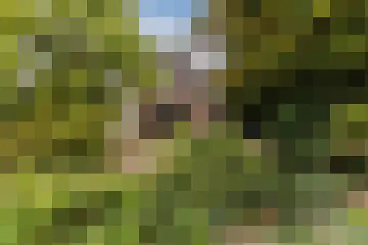 Oude Rijksweg Zuid 17 Susteren thumbnail 48