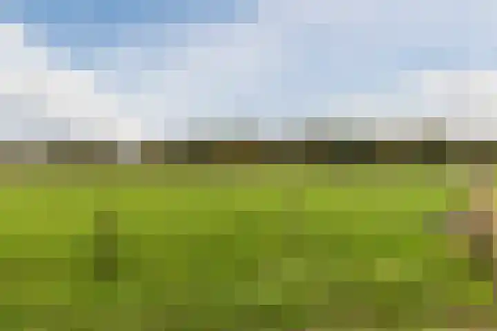 Oude Rijksweg Zuid 17 Susteren thumbnail 51