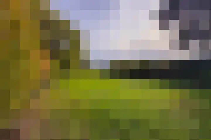 Oude Rijksweg Zuid 17 Susteren thumbnail 52