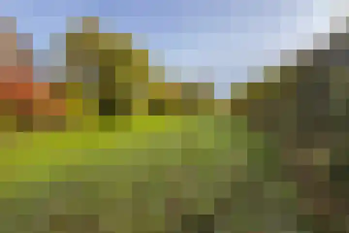 Oude Rijksweg Zuid 17 Susteren thumbnail 53