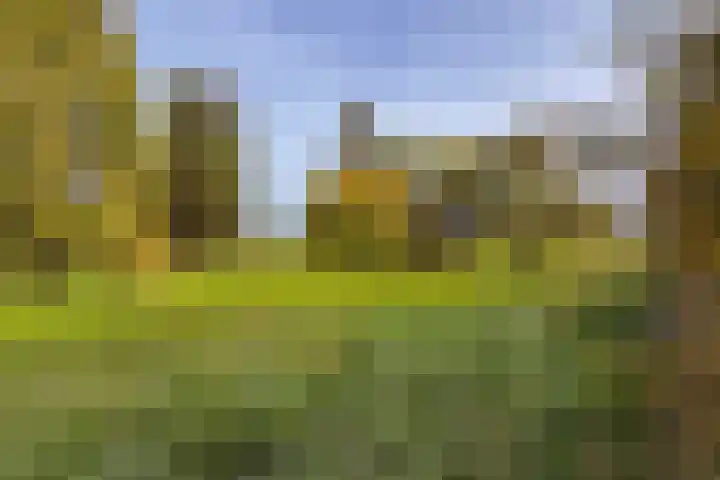 Oude Rijksweg Zuid 17 Susteren thumbnail 54