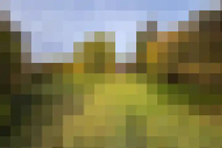 Oude Rijksweg Zuid 17 Susteren thumbnail 55