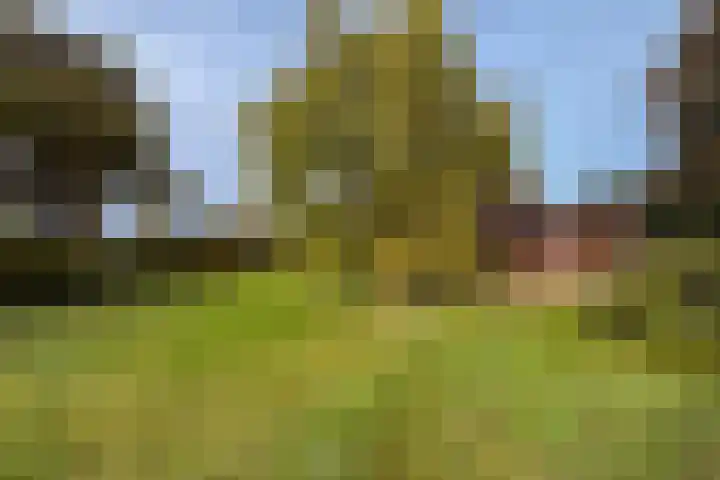 Oude Rijksweg Zuid 17 Susteren thumbnail 56