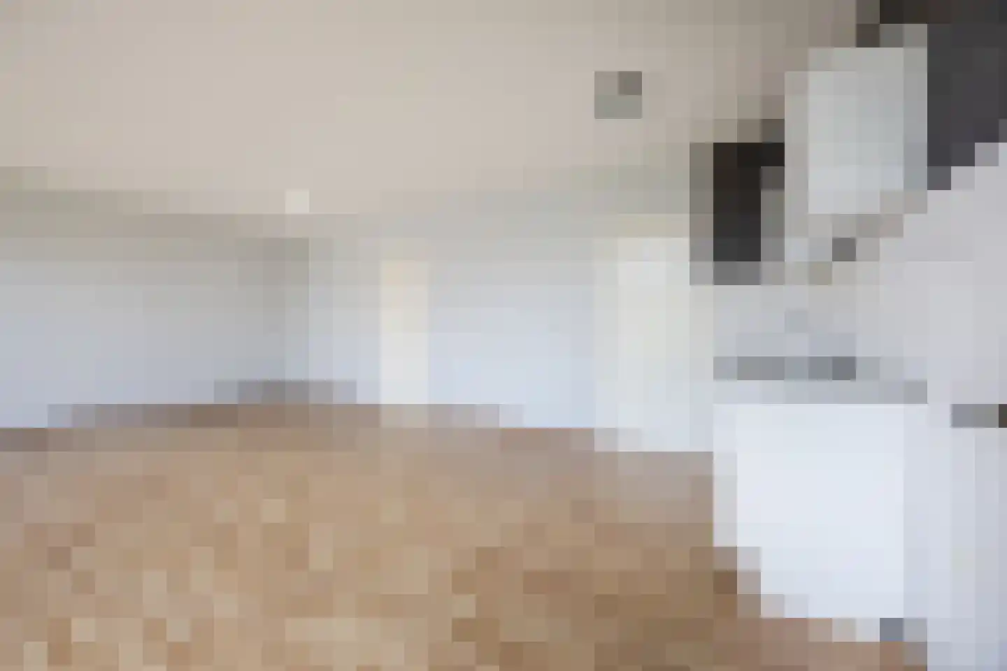Oude Rijn 1 E Leiden thumbnail 15