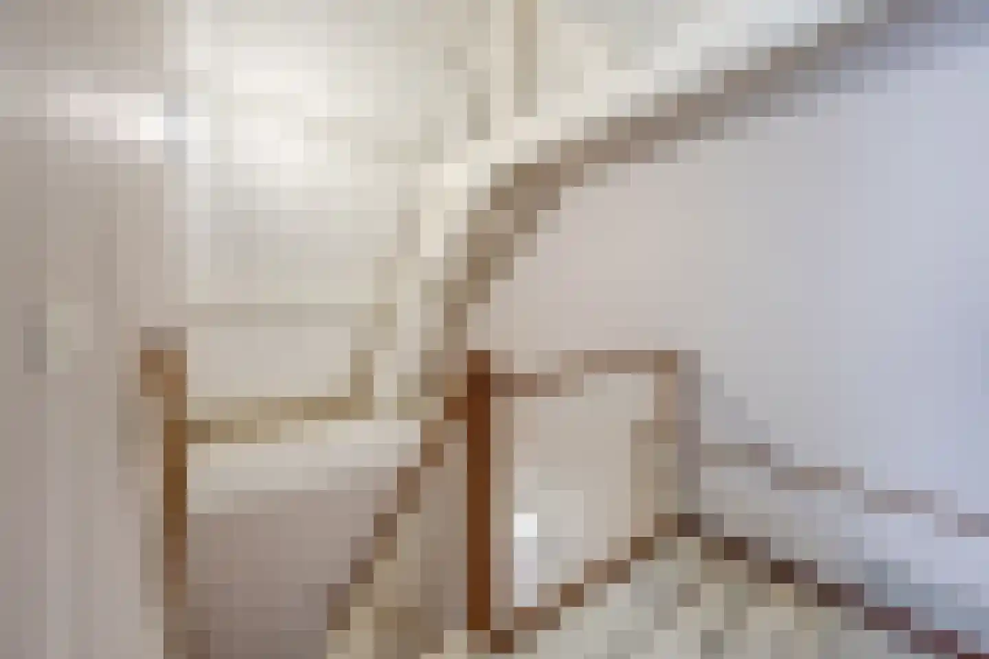 Oude Rijn 1 E Leiden thumbnail 24