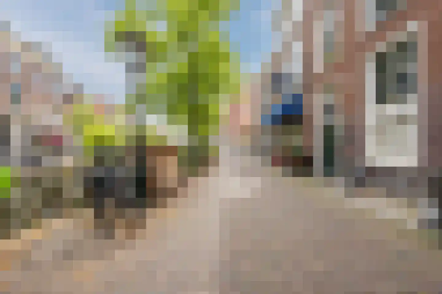 Oude Rijn 1 P Leiden foto 3