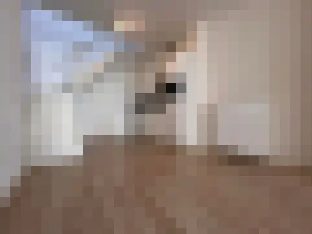 Oude Rijn 12 Leiden thumbnail 4