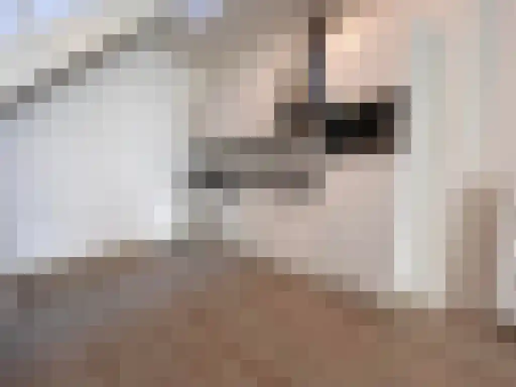 Oude Rijn 12 Leiden thumbnail 5