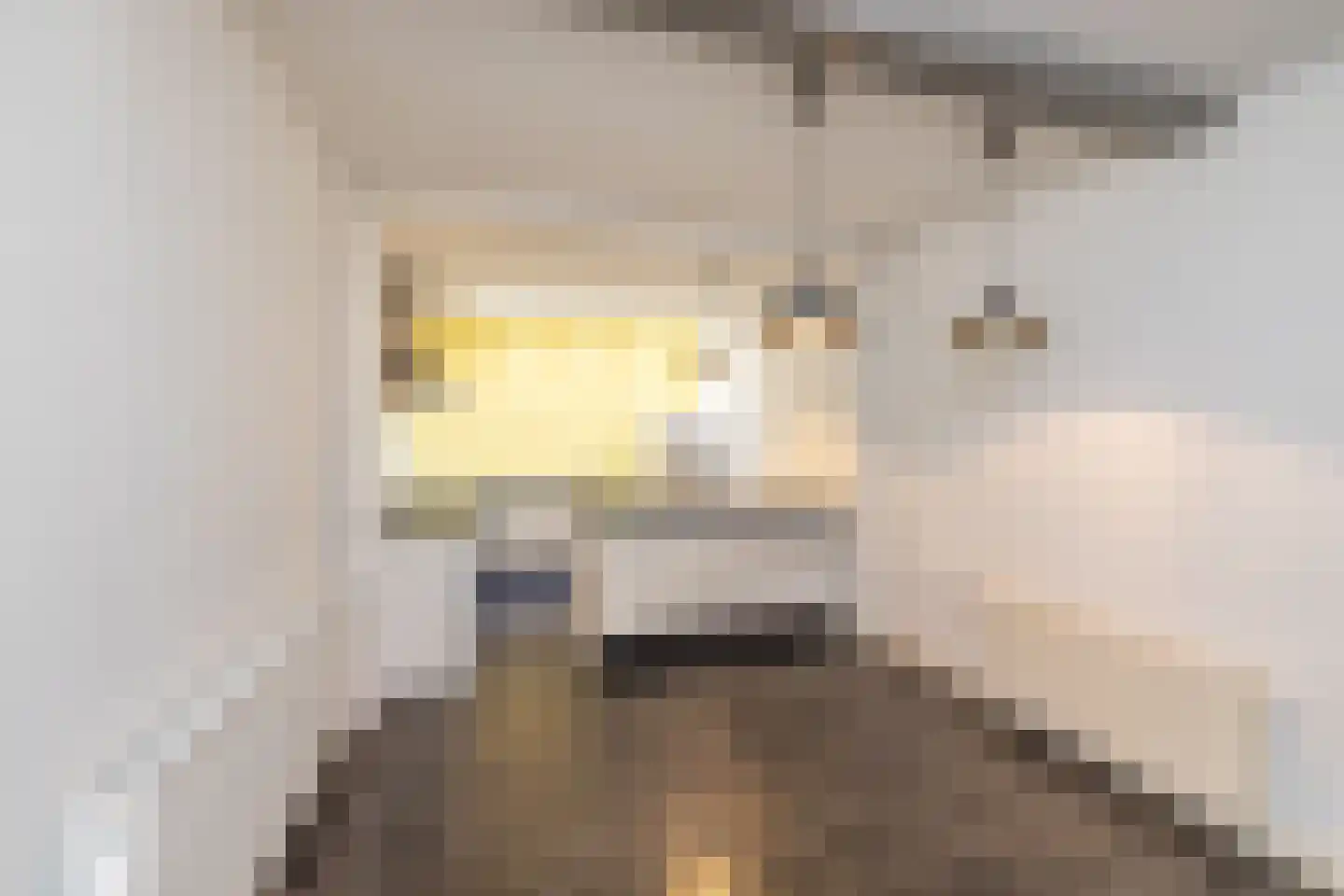 Oude Rijn 20 Leiden thumbnail 15