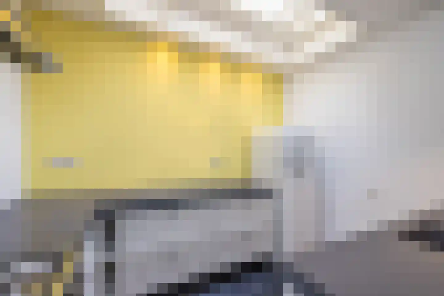 Oude Rijn 20 Leiden thumbnail 17