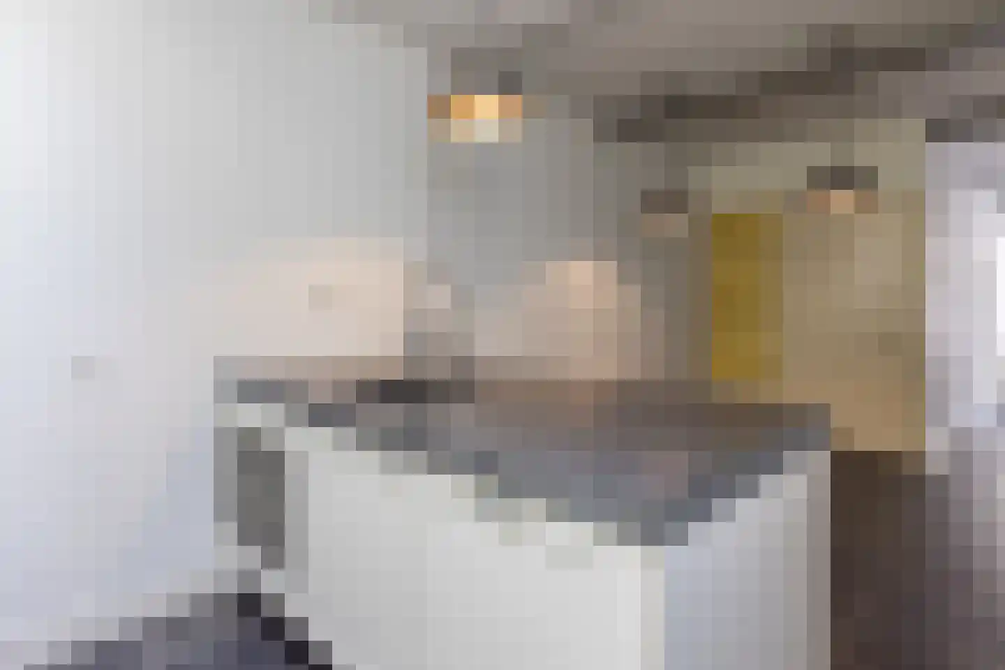 Oude Rijn 20 Leiden thumbnail 18