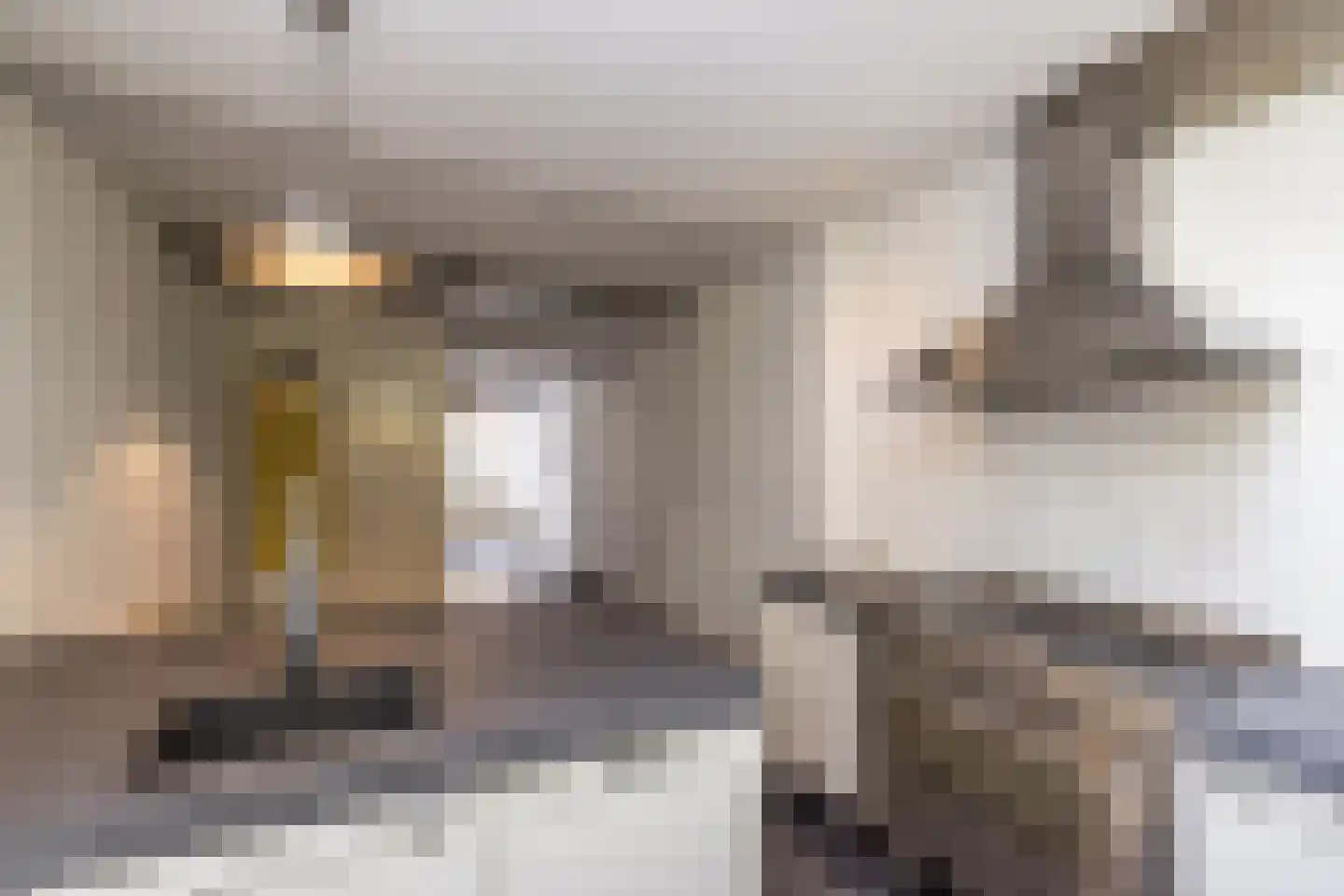 Oude Rijn 20 Leiden thumbnail 19