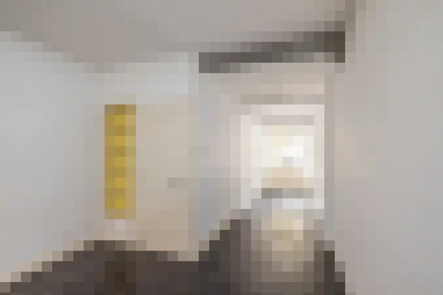 Oude Rijn 20 Leiden thumbnail 21