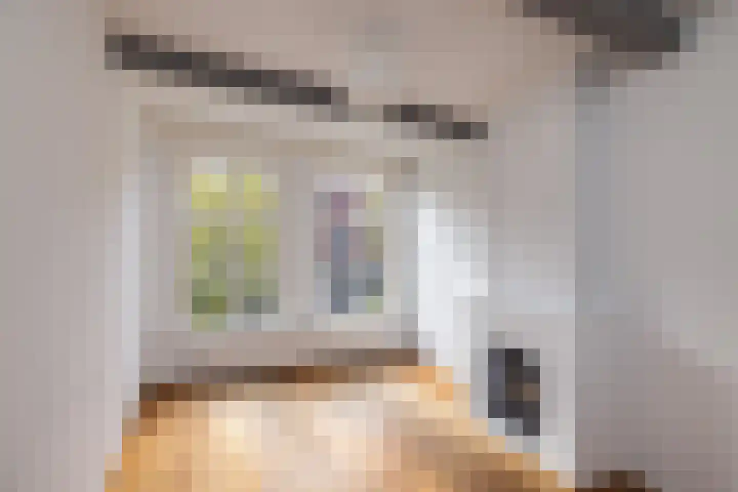 Oude Rijn 20 Leiden thumbnail 27