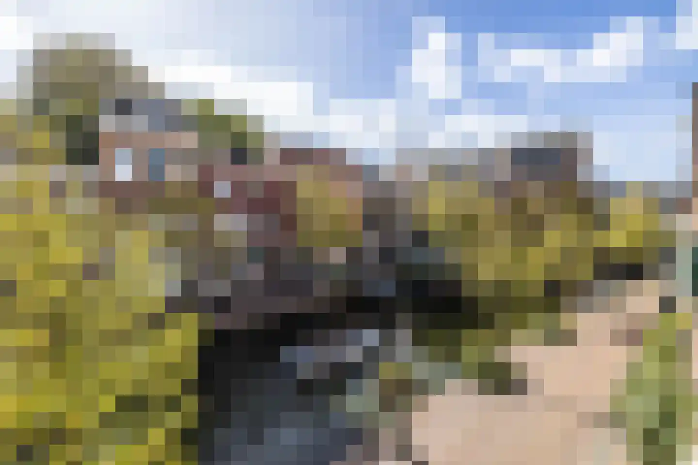 Oude Rijn 20 Leiden thumbnail 46