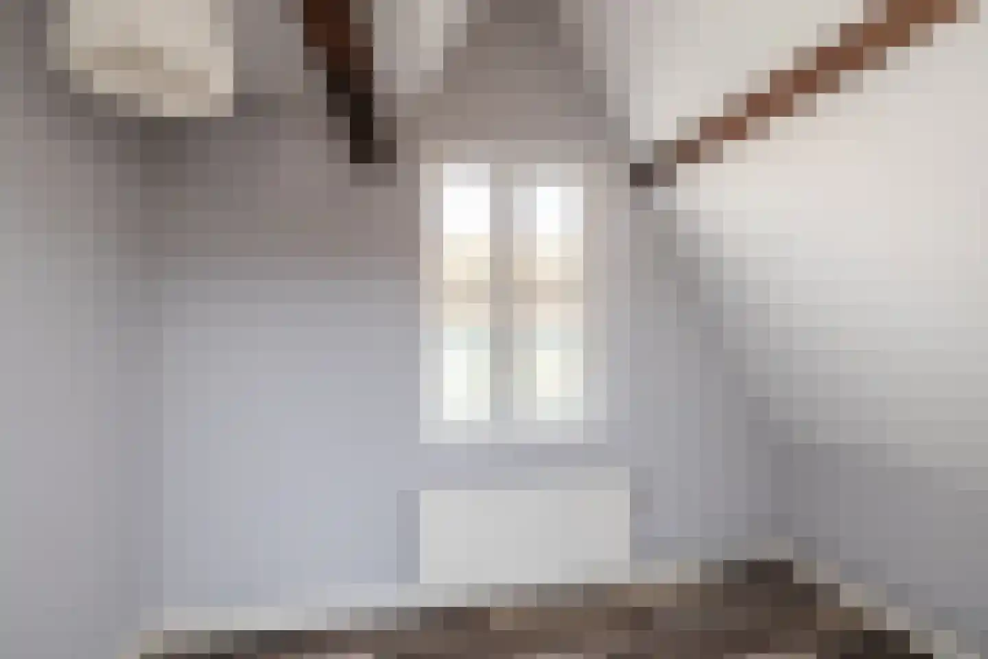 Oude Rijn 20 Leiden thumbnail 53