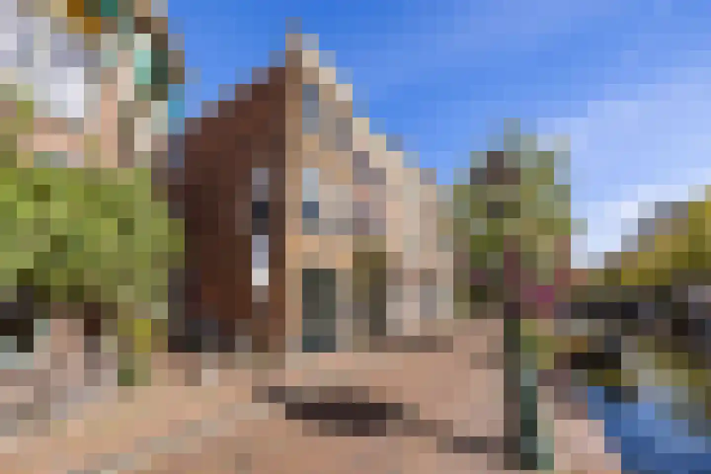 Oude Rijn 20 Leiden thumbnail 56