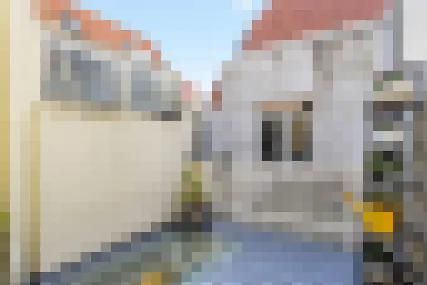 Oude Rijn 20 Leiden thumbnail 67