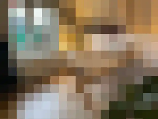 Oude Rijn 24 Leiden thumbnail 6
