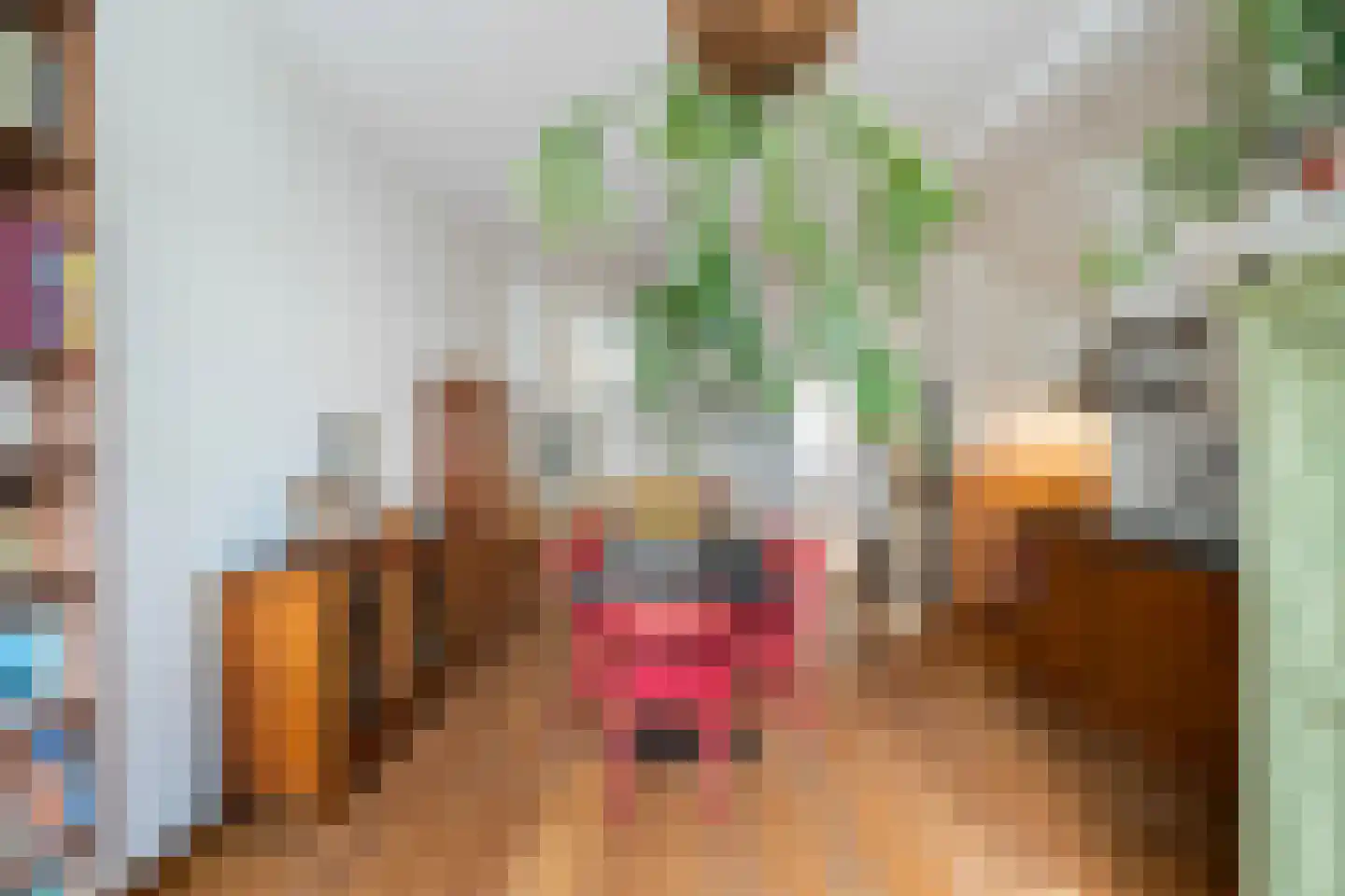 Oude Rijn 33 K Leiden thumbnail 11