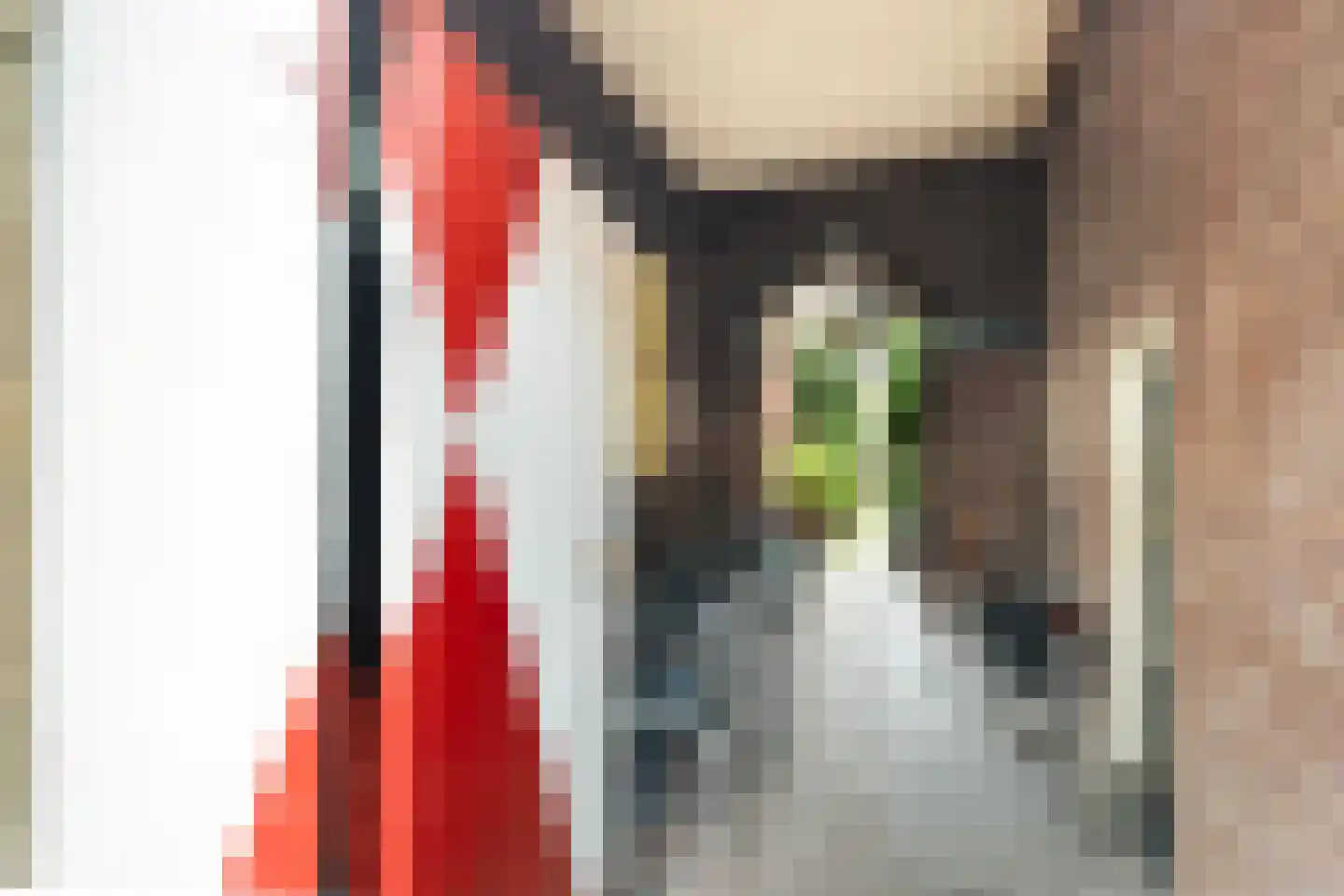 Oude Rijn 33 K Leiden thumbnail 30