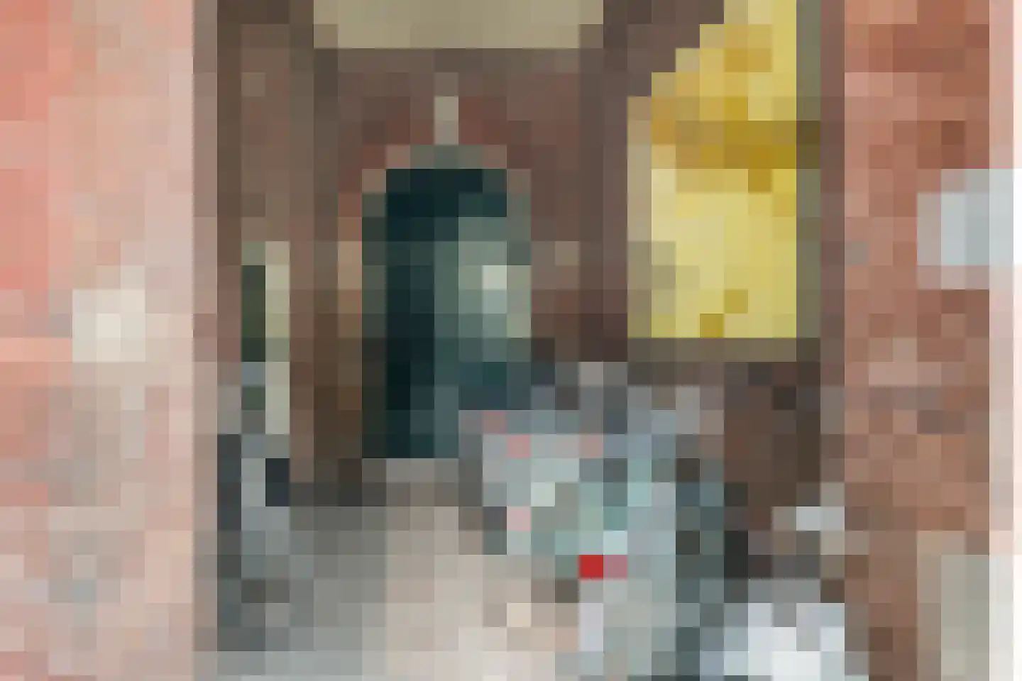 Oude Rijn 33 K Leiden thumbnail 31