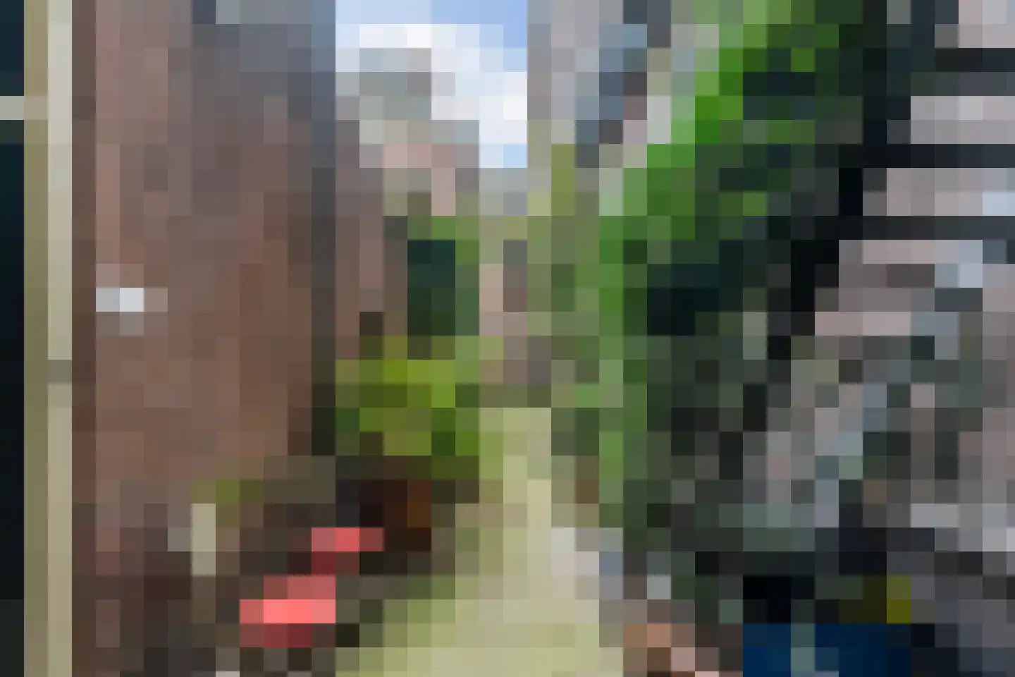 Oude Rijn 33 K Leiden thumbnail 32