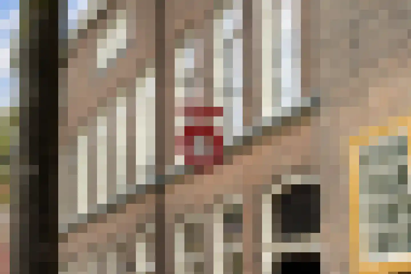 Oude Rijn 33 K Leiden thumbnail 46