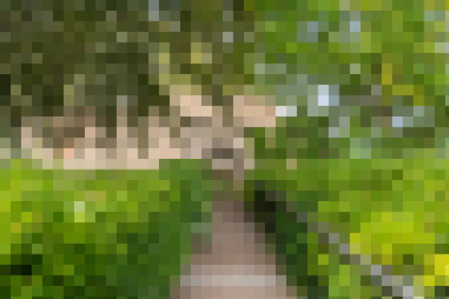 Oude Rijn 33 K Leiden thumbnail 50