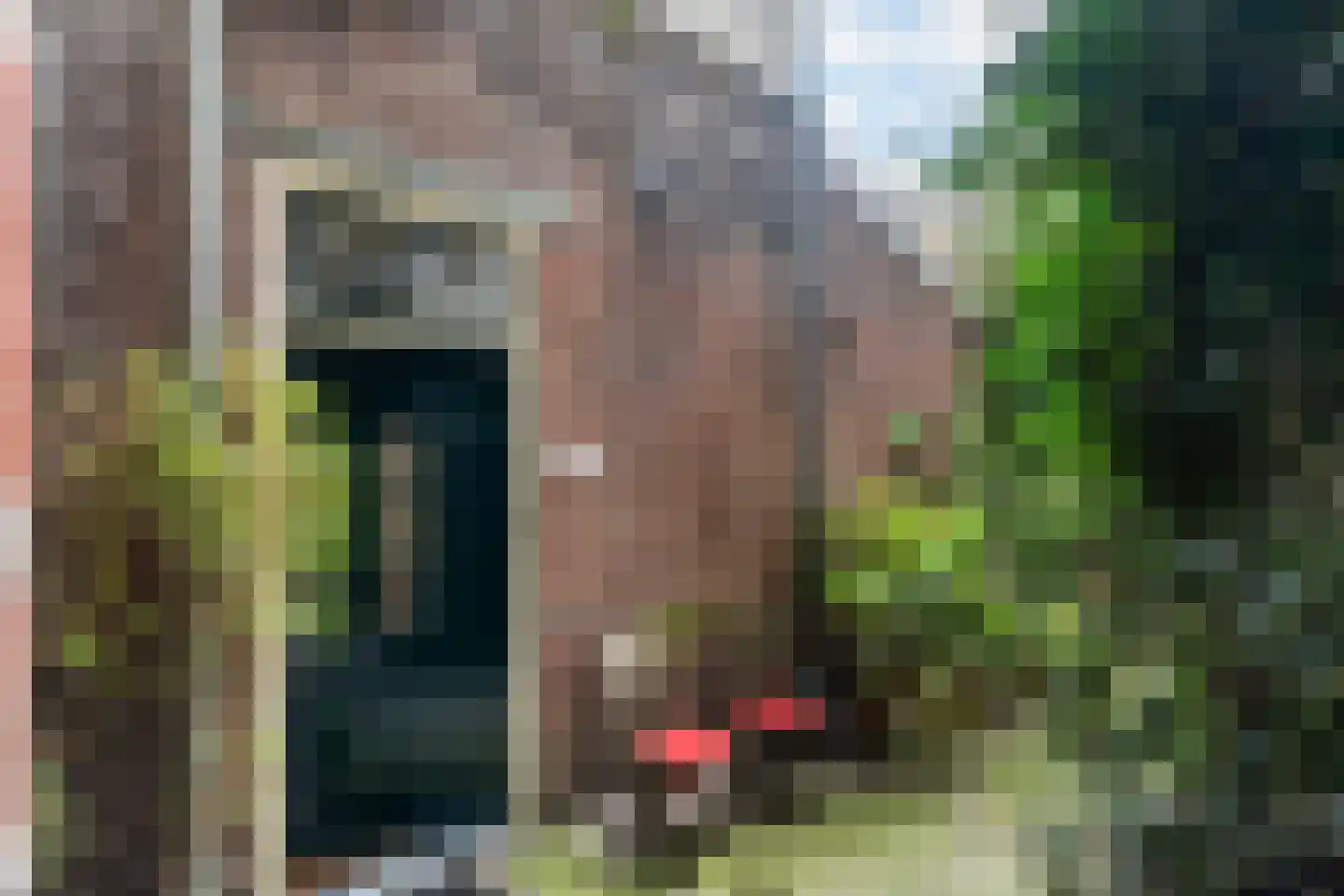 Oude Rijn 33 K Leiden thumbnail 6