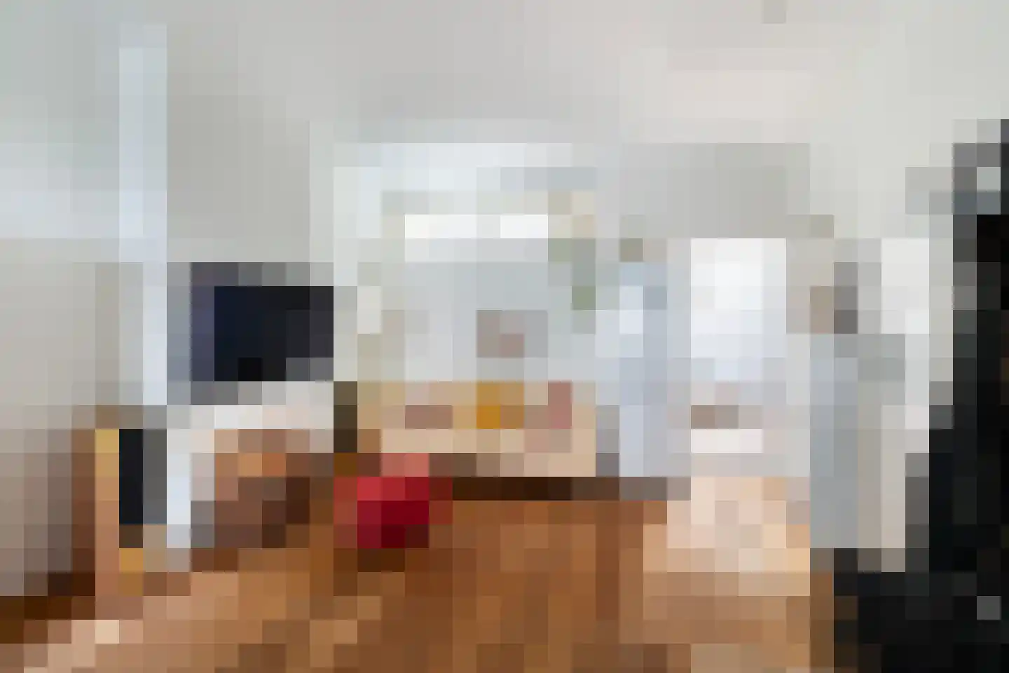 Oude Rijn 33 K Leiden thumbnail 9