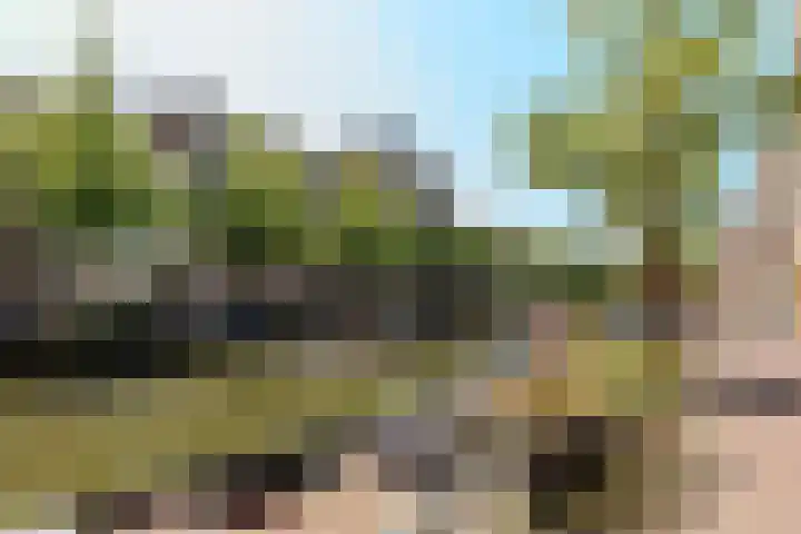 Oude Rijn 39 B Leiden thumbnail 4