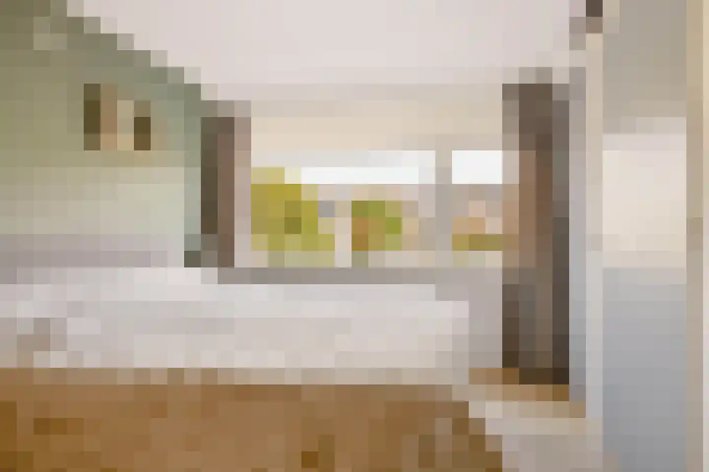 Oude Rijn 5 Apeldoorn thumbnail 18