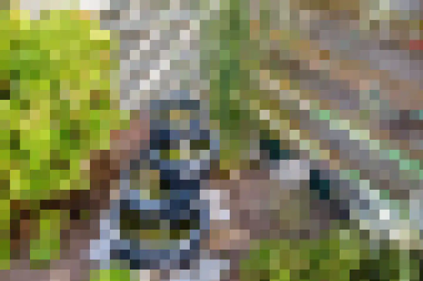 Oude Rijn 5 Apeldoorn thumbnail 36