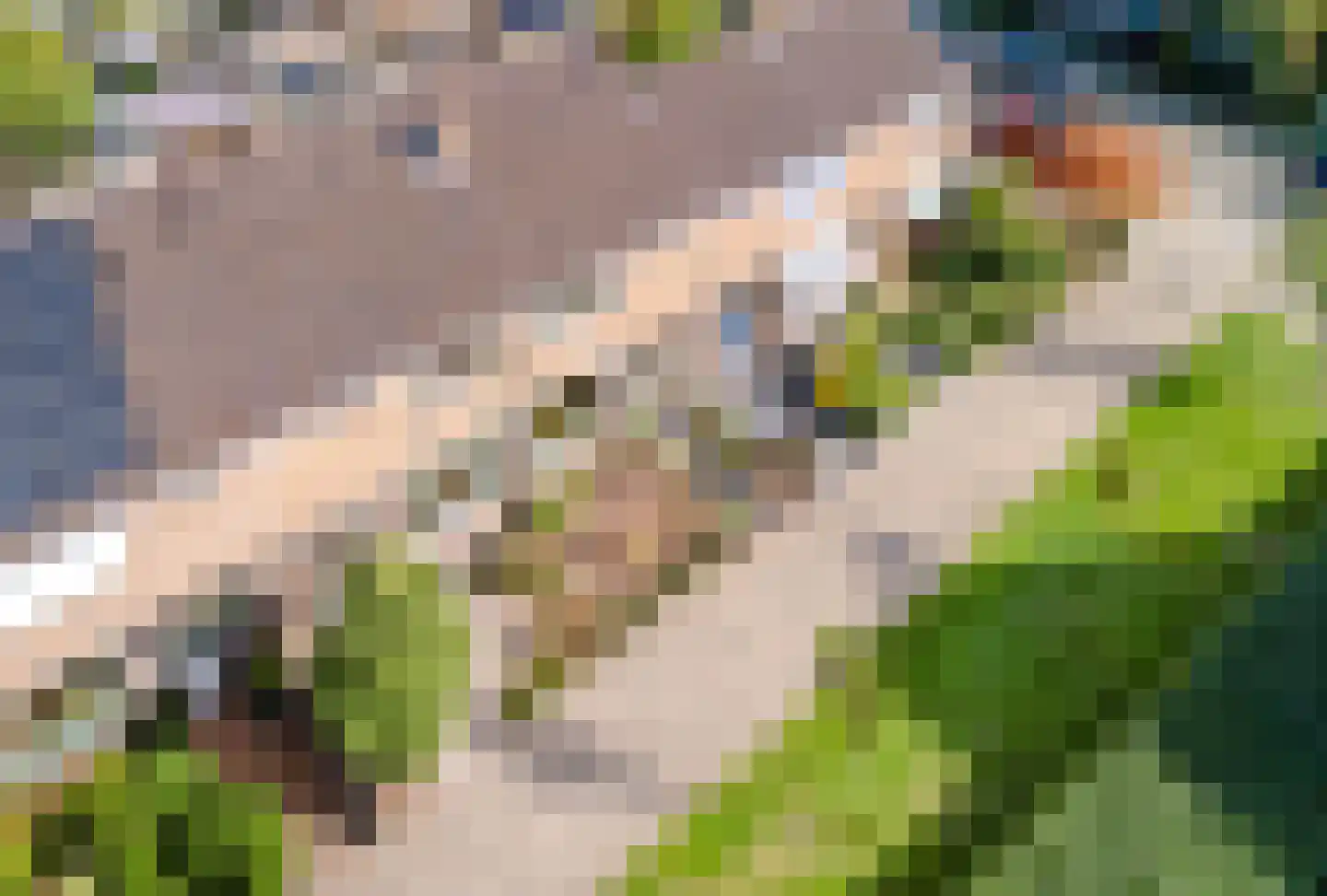 Oude Rijn 5 Apeldoorn thumbnail 37