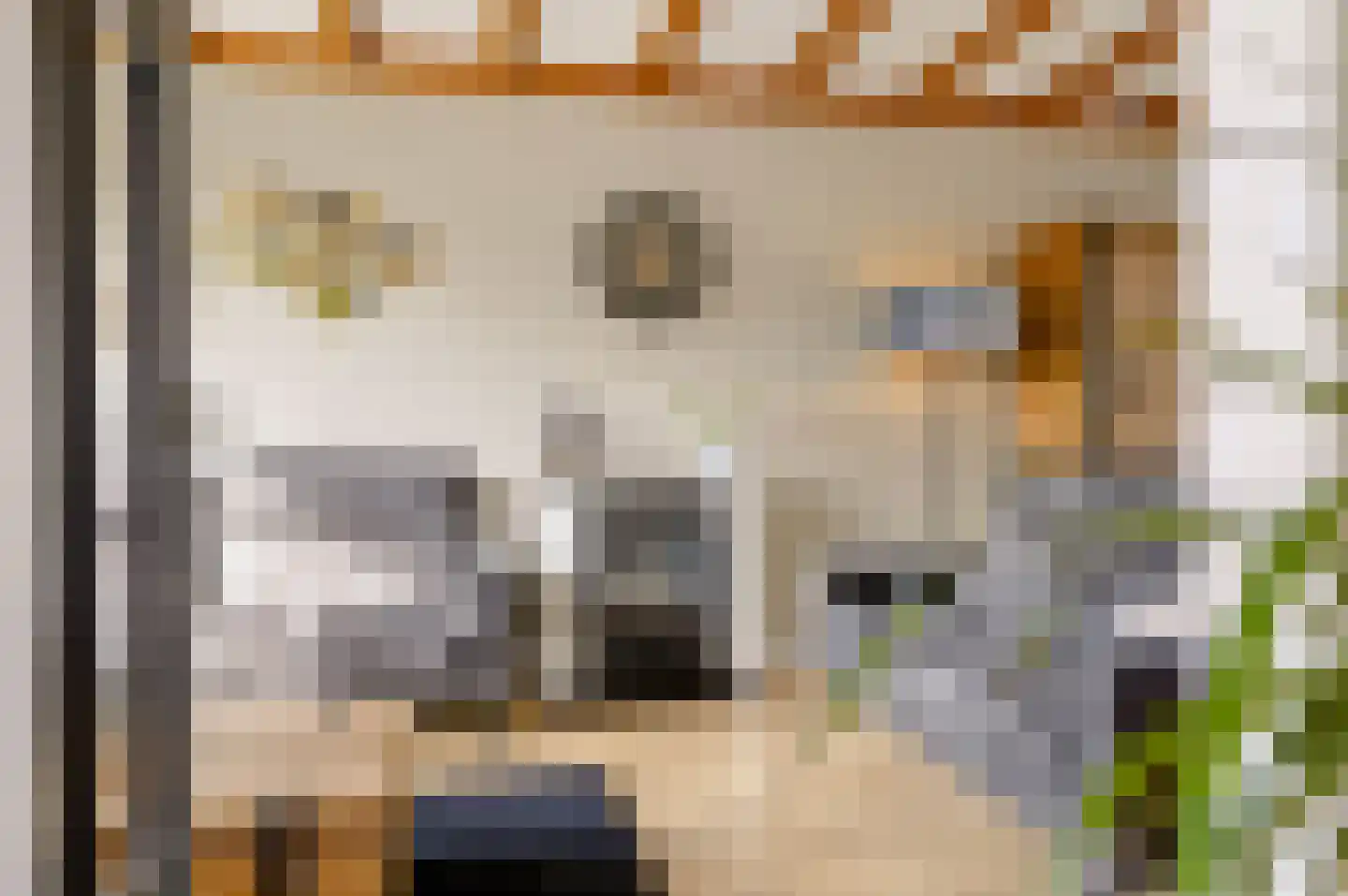 Oude Rijn 5 Apeldoorn thumbnail 7