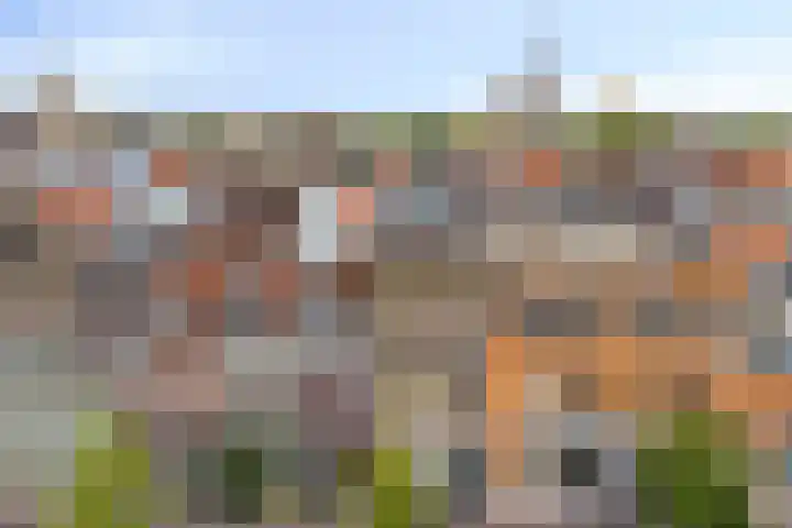 Oude Rijn 52 Leiden thumbnail 29